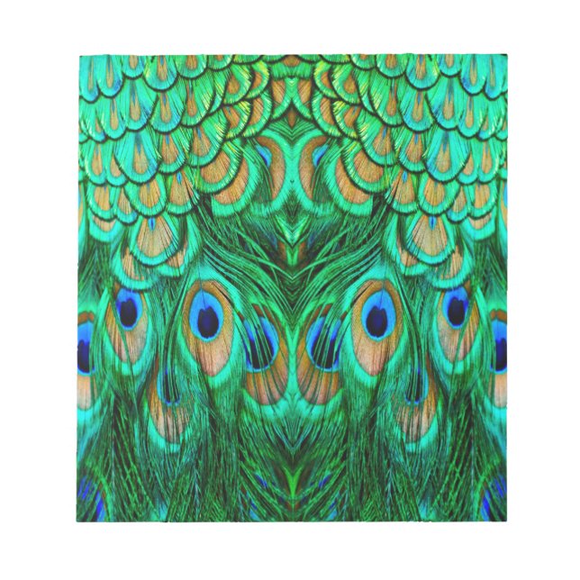 Glorious Peacock Feathers Notepad (Front)