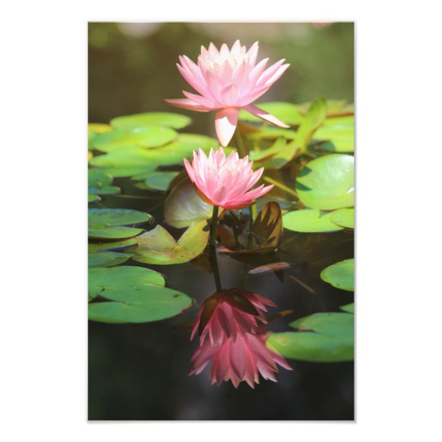 Glorious Reflections Photo Print (Front)