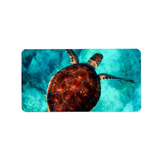 Glorious Sea Turtle Label (Front)