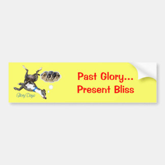 Glory Days Bumper Sticker
