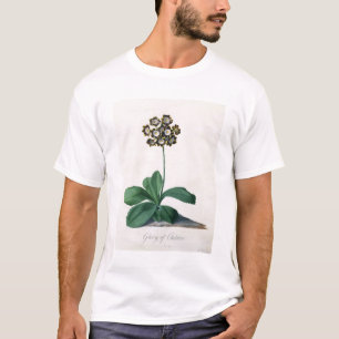 Glory of Chilton (gouache on vellum) T-Shirt