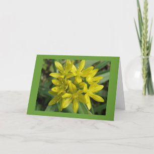 Glory Of The Snow Greeting Card