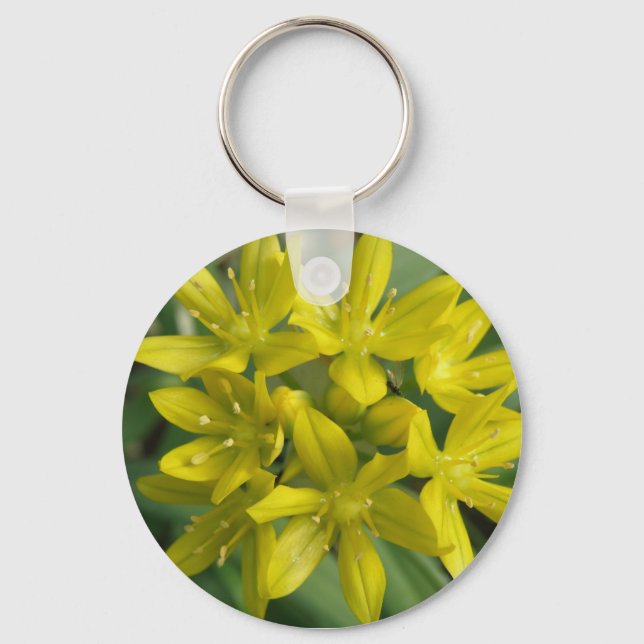 Glory Of The Snow Keychain (Front)