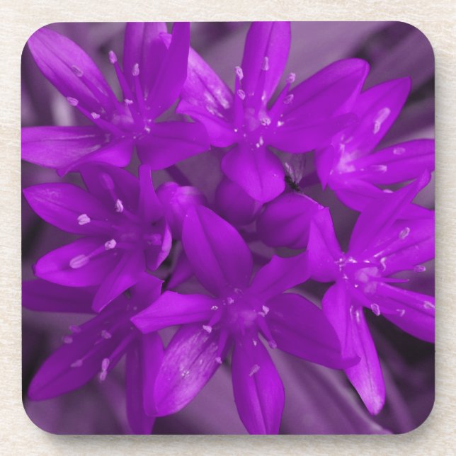 Glory of the Snow Purple Cork Coaster (Front)