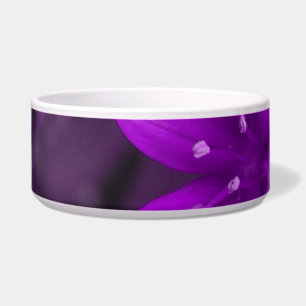 Glory of the Snow Purple Dog Bowl