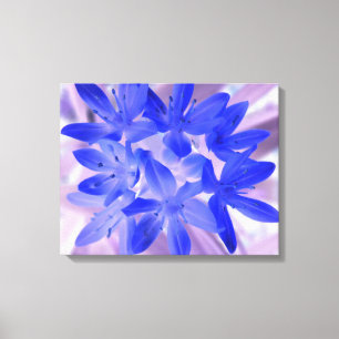 Glory of the Snow Shocking Blue Canvas Print