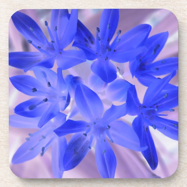 Glory of the Snow Shocking Blue Cork Coaster (Front)