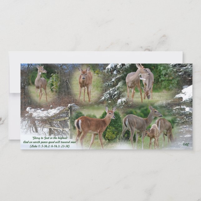 Glory to God... (Front)