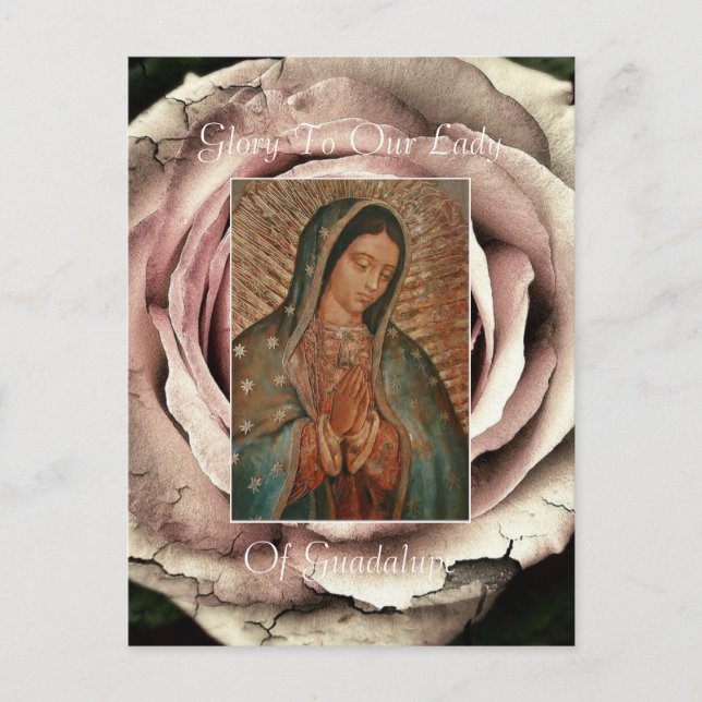 Glory To Our Lady Of Guadalupe Postcard (Front)