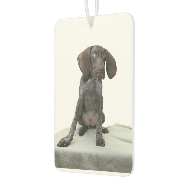 Glossy Grizzly Air Freshener (Left)