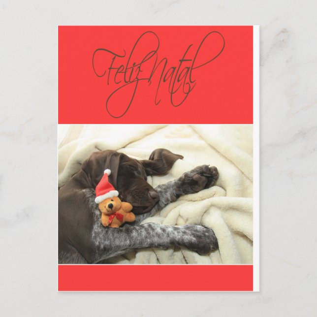 Glossy Grizzly Christmas Feliz Natal Holiday Postcard (Front)