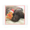 Glossy Grizzly Christmas Pointer