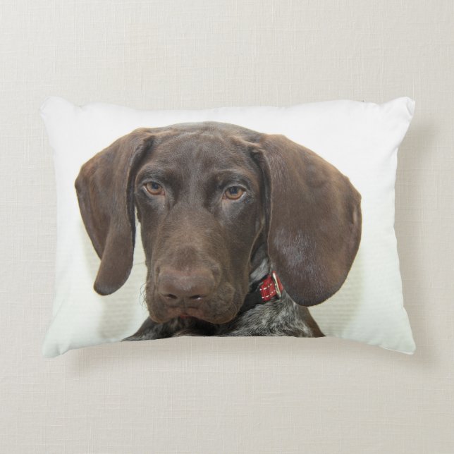 Glossy Grizzly Decorative Cushion (Front)