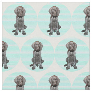 Glossy Grizzly in Blue Fabric