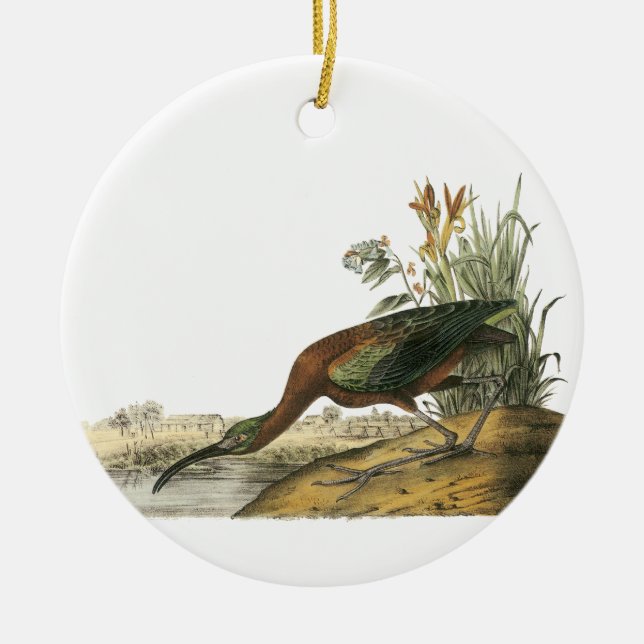 Glossy Ibis, John Audubon Ceramic Tree Decoration (Front)