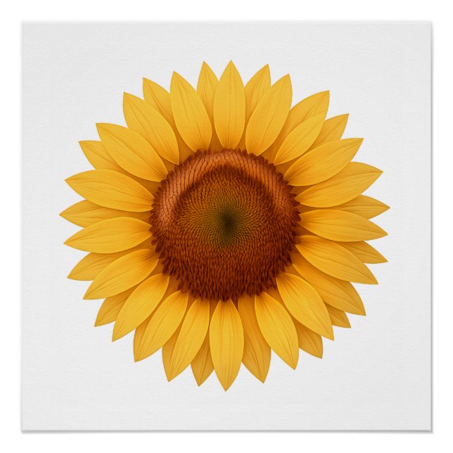 Glossy Poster - Sunflower (Front)