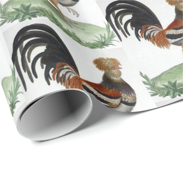 Glossy Wrapping Paper French Bird (Roll Corner)