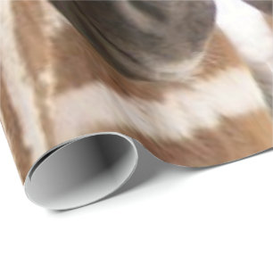 Glossy Wrapping Paper Zebra