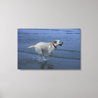Gloucester, Massachusetts, USA 2 Canvas Print