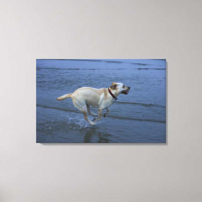 Gloucester, Massachusetts, USA 2 Canvas Print (Front)