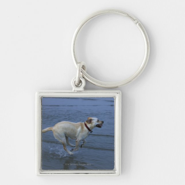 Gloucester, Massachusetts, USA 2 Key Ring (Front)