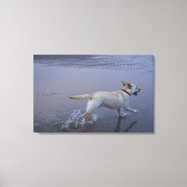 Gloucester, Massachusetts, USA Canvas Print (Front)