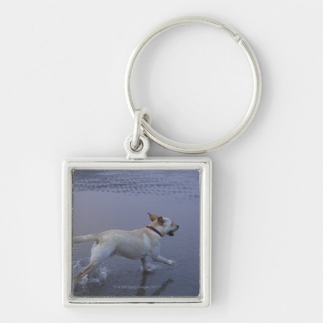 Gloucester, Massachusetts, USA Key Ring (Front)