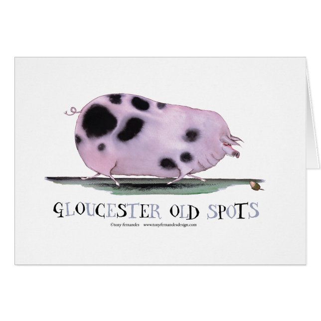 gloucester old spots, tony fernandes (Front Horizontal)