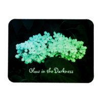 Glow in the Darkness Green Lilacs Altered Photo