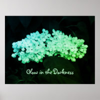 Glow in the Darkness Green Lilacs Photo