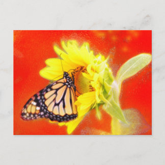 Glow , postacrd postcard