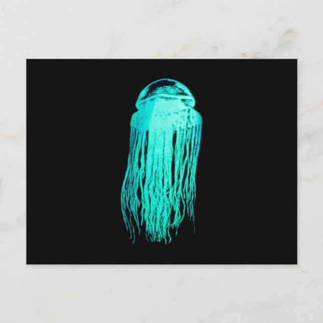Glowees Jellyfish Postcard (Front)