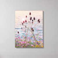 Glowing Back Lit Wild Teasels and Thistles