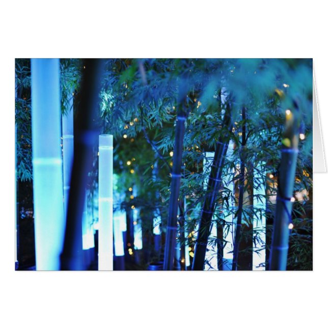 Glowing Bamboo in Tokyo, Japan. (Front Horizontal)