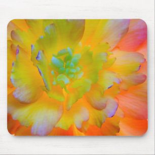 Glowing Begonia Blossom Seabeck, WA Mouse Pad
