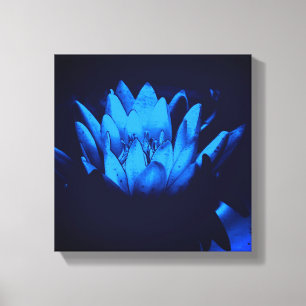 Glowing Blue Water Lily Lotus Flower Abstract Canvas Print