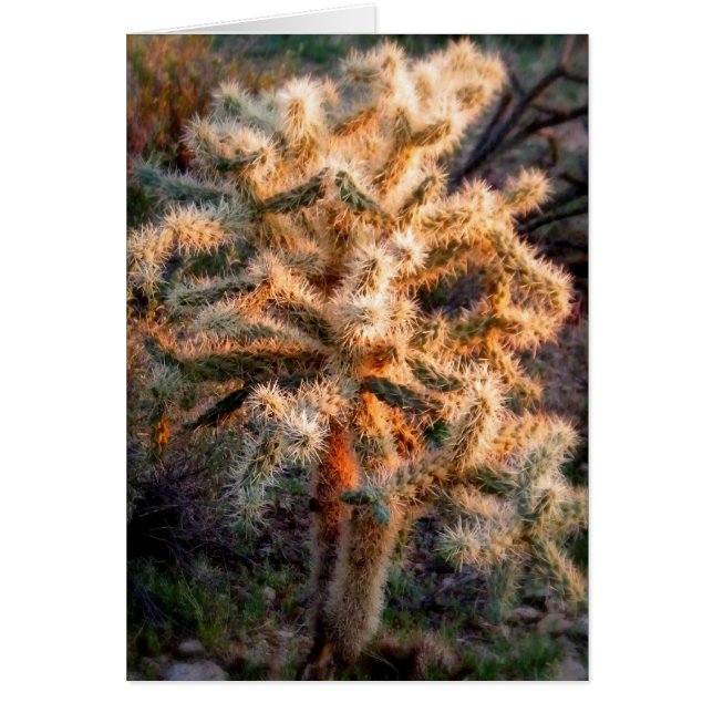 Glowing Cholla (Front)