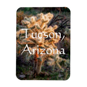 Glowing cholla Tucson, Arizona Magnet