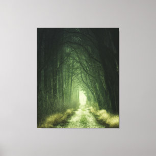 Glowing Dark Green Forest Fantasy Landscape  Canvas Print