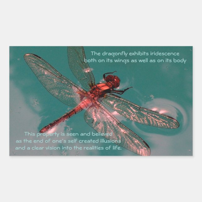 Glowing Dragonfly Sticker (Front)