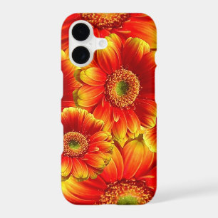 Glowing Gerbera Daisies