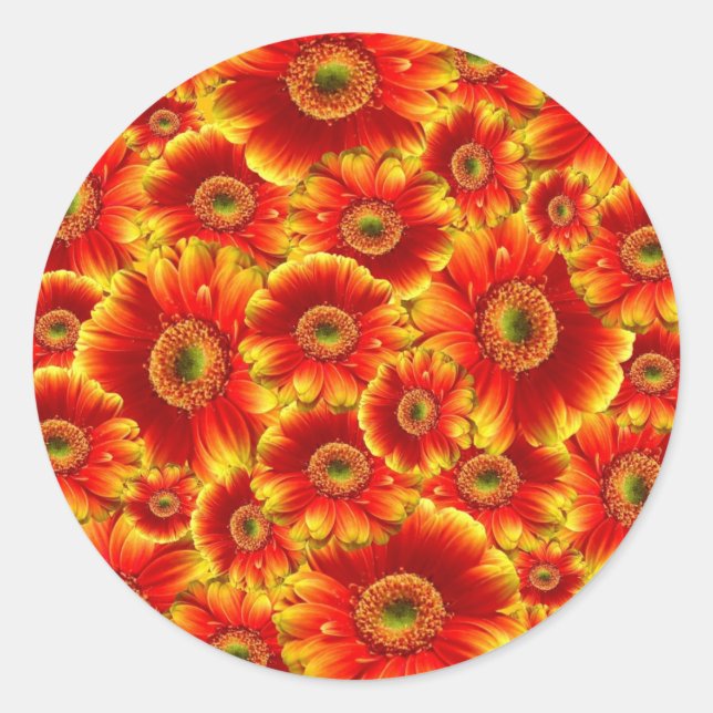 Glowing Gerbera Daisies Classic Round Sticker (Front)