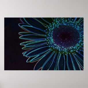 Glowing Gerbera Daisy Poster