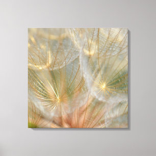 Glowing in the Sun Canvas Print