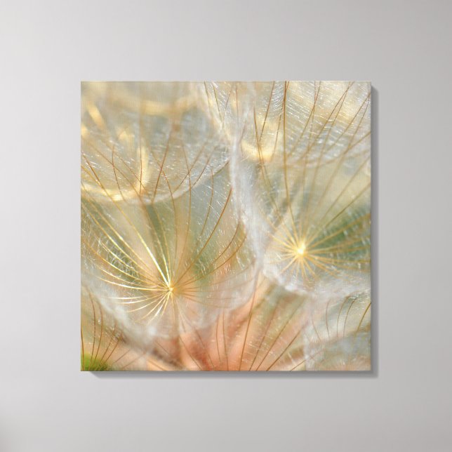 Glowing in the Sun Canvas Print (Front)