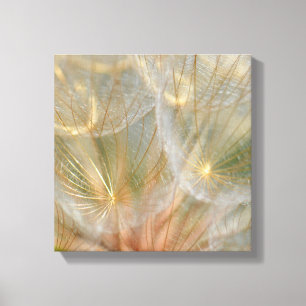 Glowing in the Sun Stretched Canvas Print