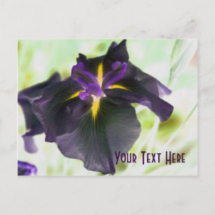 Glowing Iris Floral Customisable Postcard
