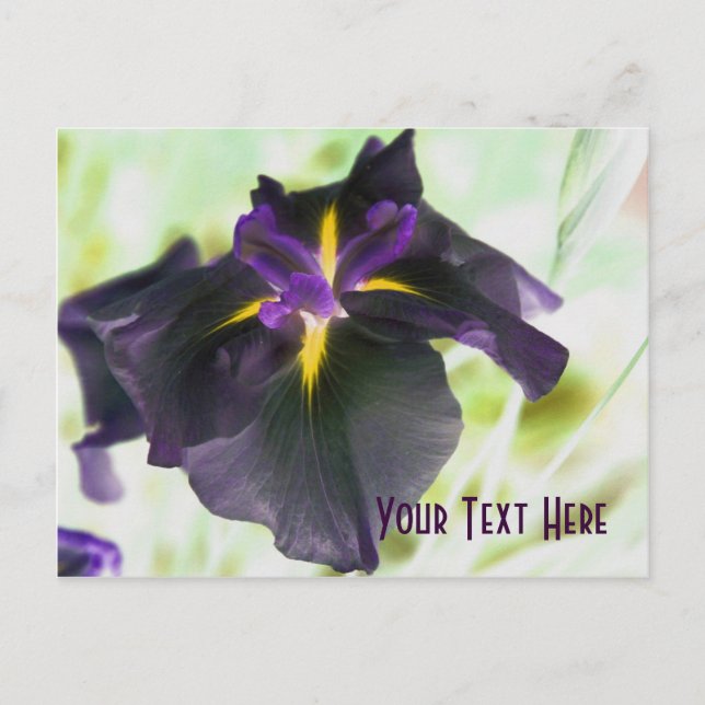 Glowing Iris Floral Customisable Postcard (Front)