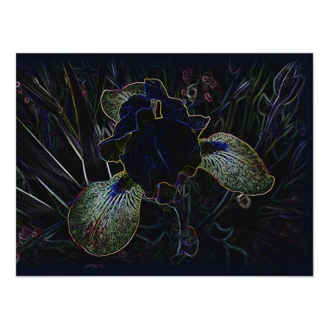 Glowing Iris Photo Print (Front)