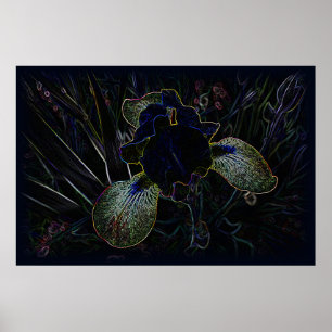 Glowing Iris Poster